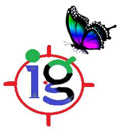 IGNETTA HOLOGRAPHICS PVT LTD