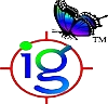 Ignetta LOGO