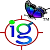 Ignetta LOGO